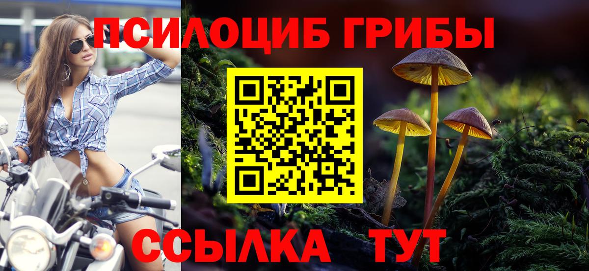 Псилоцибиновые грибы мухоморы Новотроицк